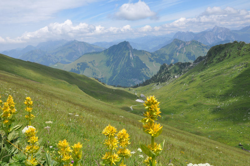 Rochers-de-Naye en Suisse.JPG