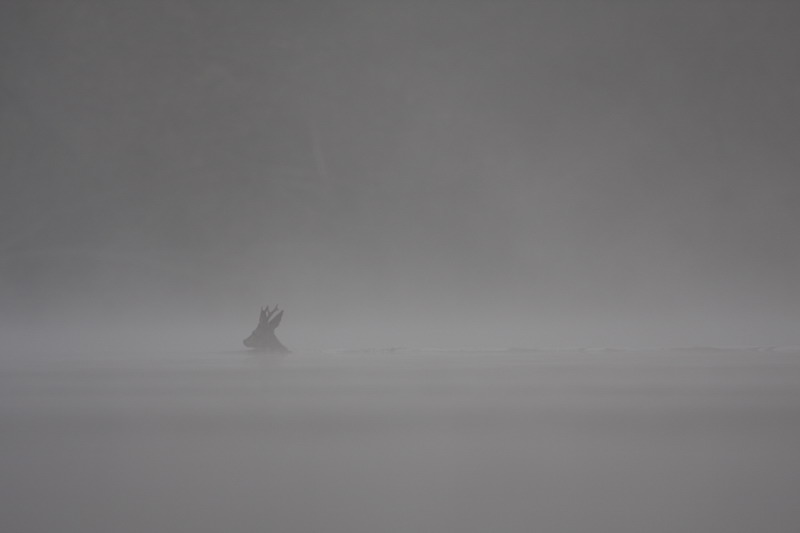 CR2.jpg