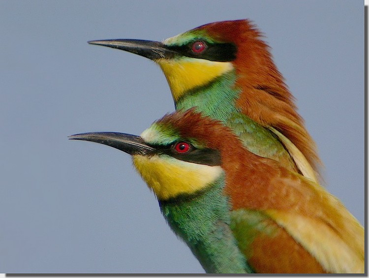 GUEP (14).jpg