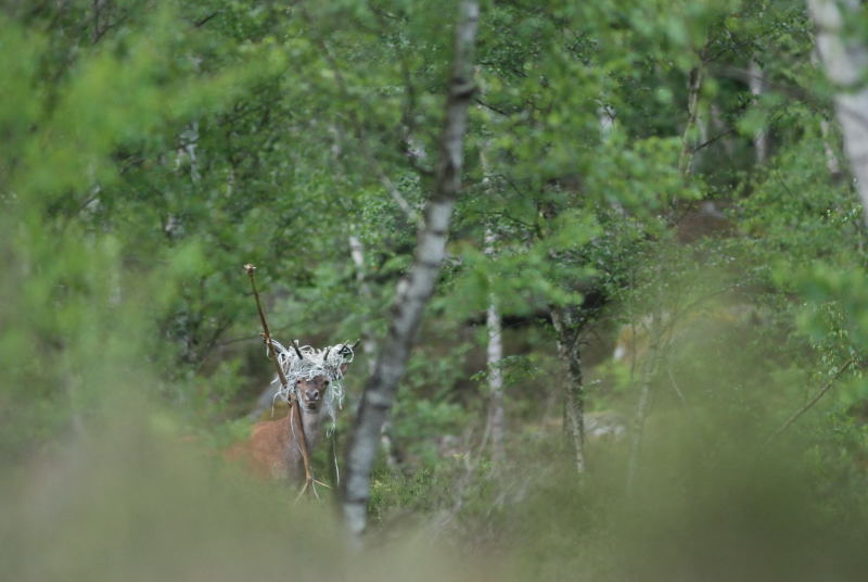 DSC_0195.JPG