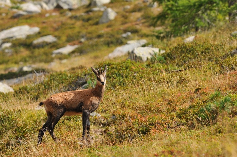 DSC_7427.jpg