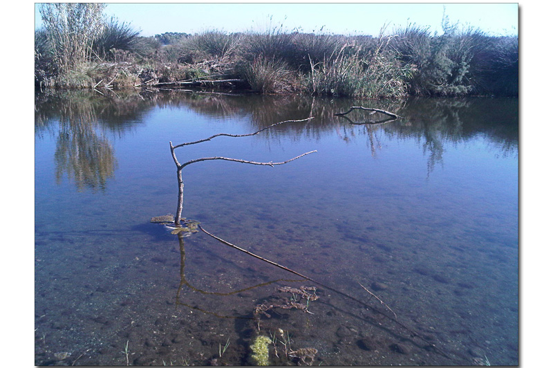 canal.jpg