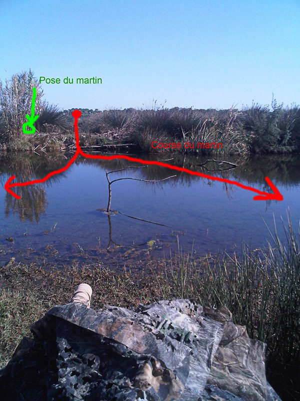 canal 3.jpg