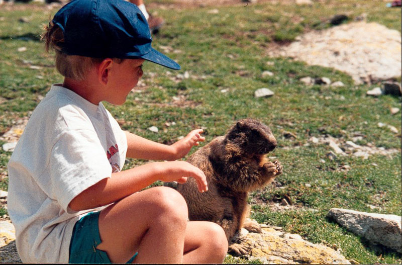 marmote 14.jpg