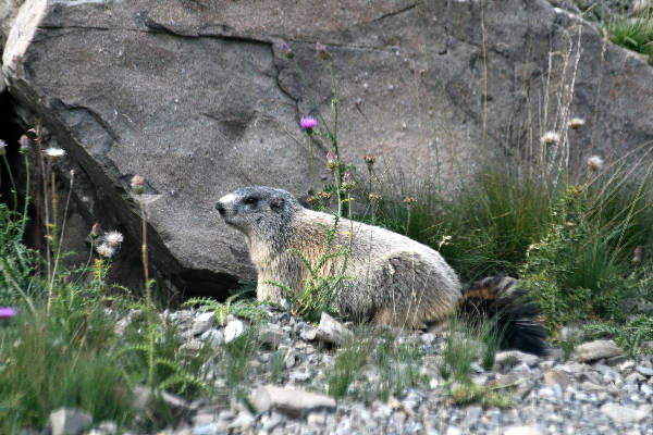 IMG_5101_DxO.jpg