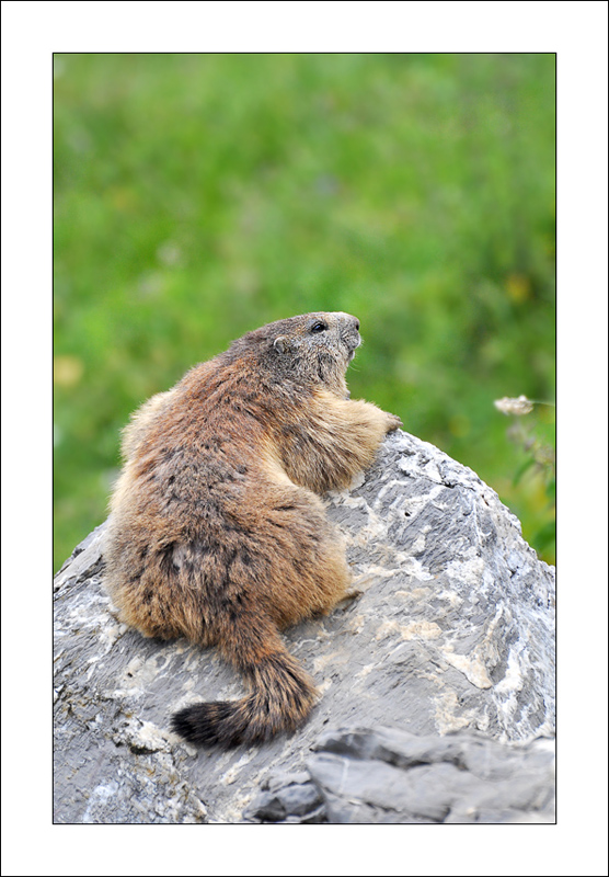 DSC_7238r.jpg