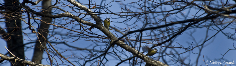 _DSC7282 copie.jpg