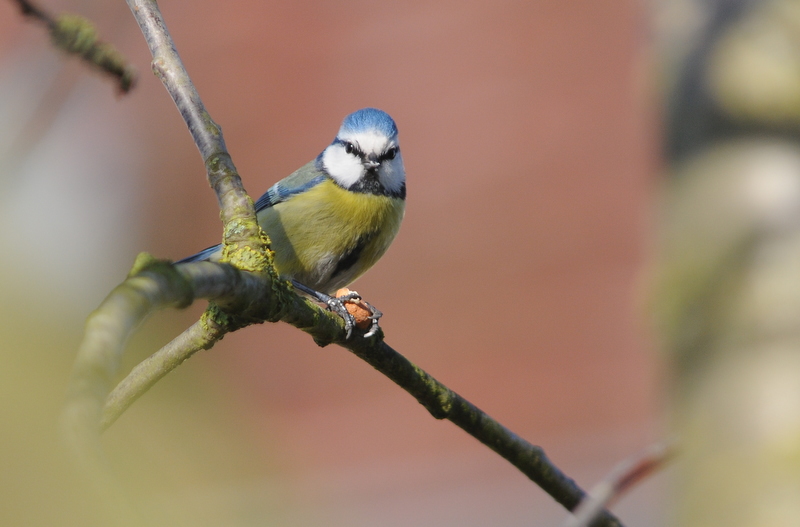 DSC_9391-1.JPG