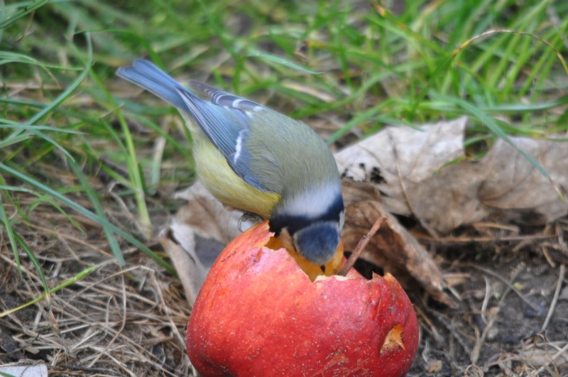 DSC_0007_3.JPG