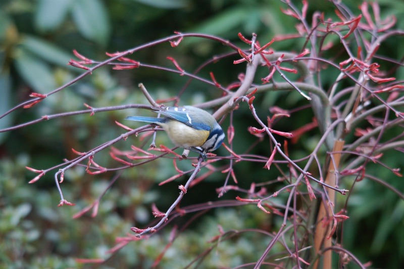 DSC_0015.JPG