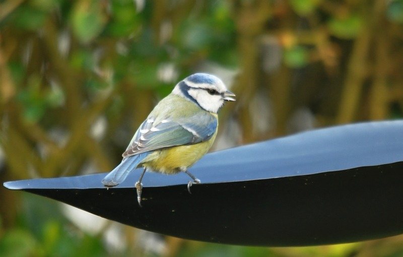 DSC_0024.JPG