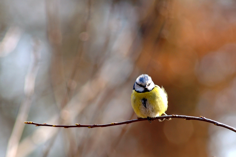 concours image et nature_-2.jpg
