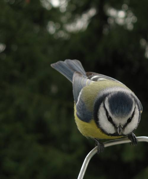 Photo concours Image&nature.jpg