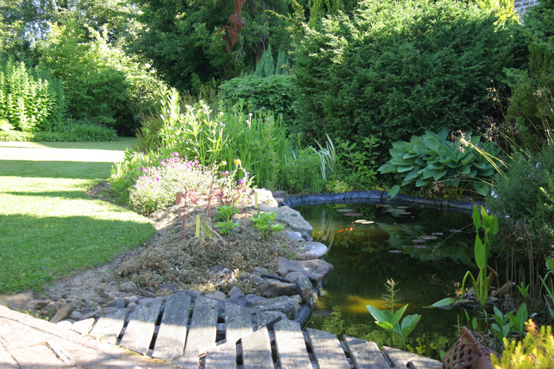 Copie-de-bassin-9.jpg