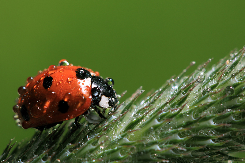Image&Nature_sous-la-pluie_3.jpg