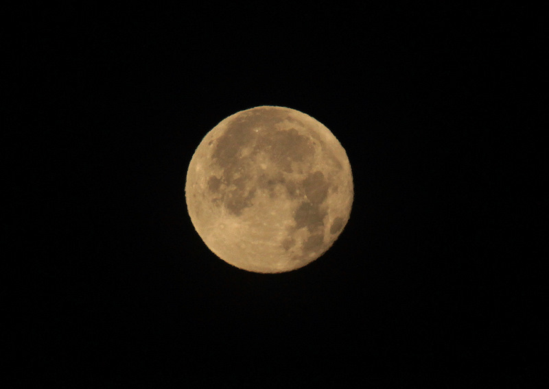 IMG_9858.JPG