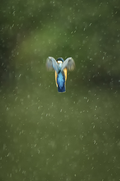 Sous la pluie-2.jpg