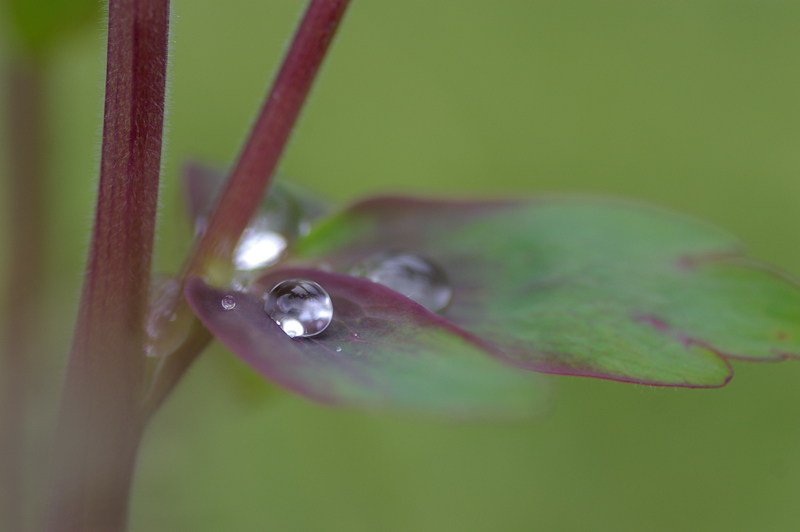 ISTD_AIMGP5419.jpg