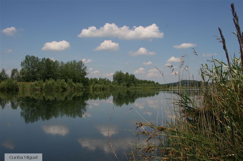 paysage_1.jpg