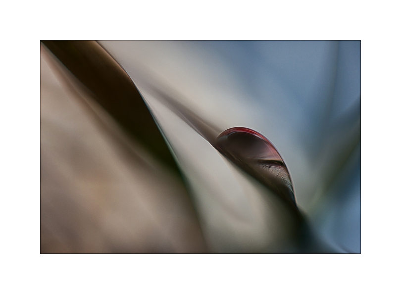 Mars2011 (1 of 1).jpg