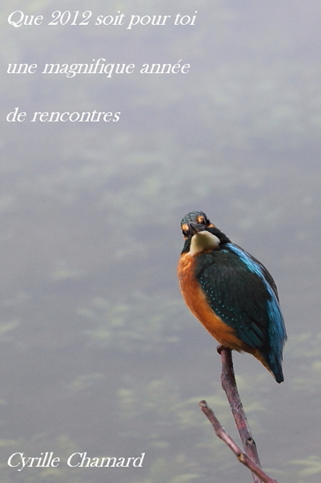 IMG_0924voeux.jpg