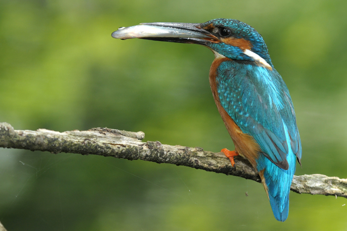 DSC_3456.JPG