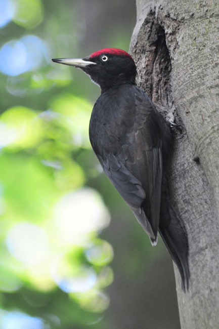 DSC_2457.jpg