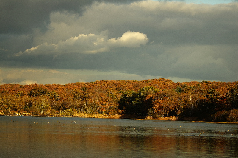 20111117IMGP2116.jpg