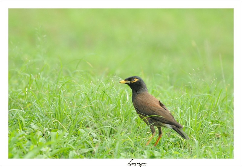 DSC_8182.JPG