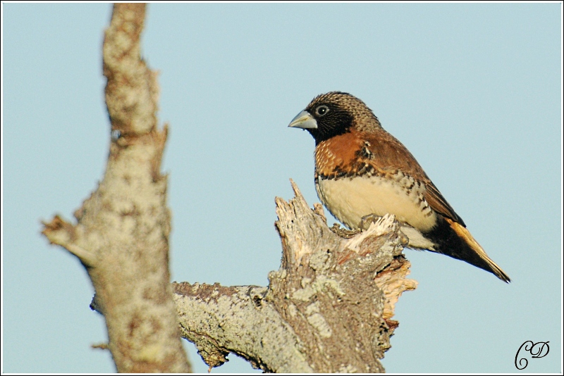 DSC_7694.JPG