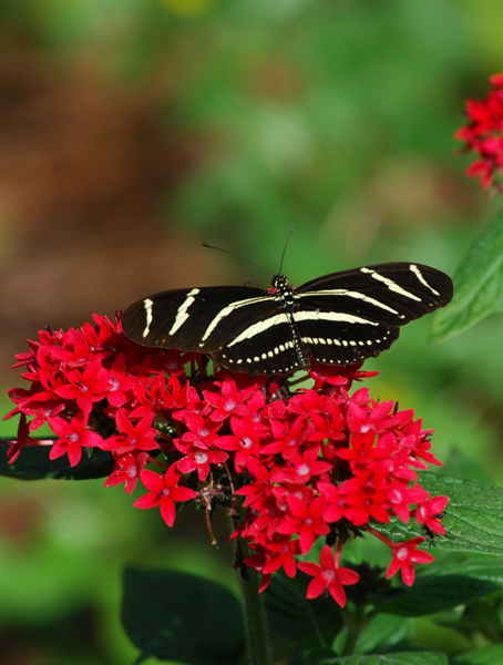 DSC_0735.jpg