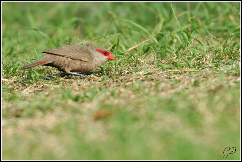 DSC_6040.JPG