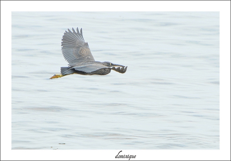 DSC_7876.JPG