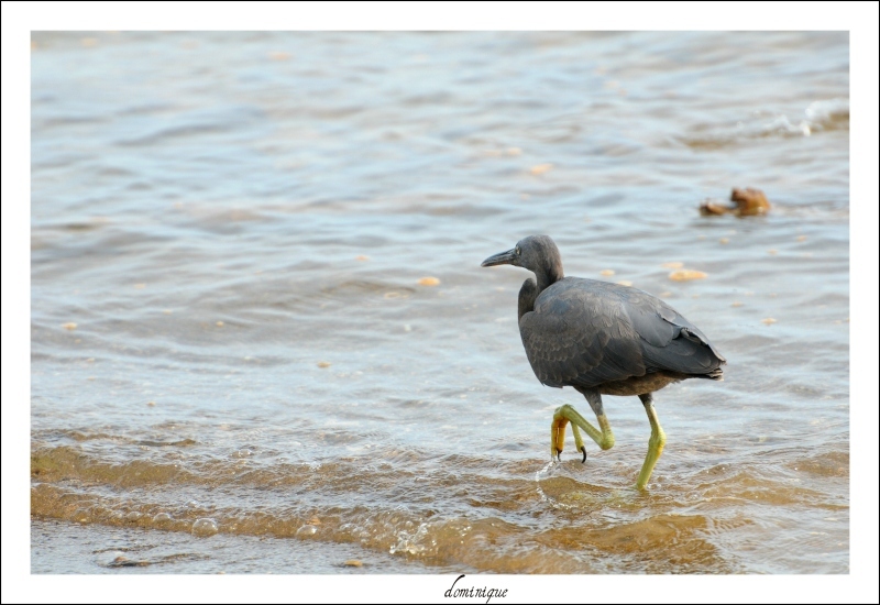 DSC_7863.JPG