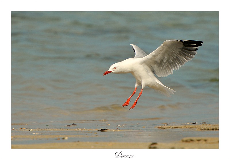 DSC_6084.JPG