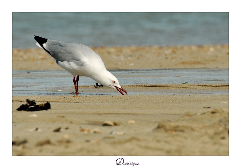 DSC_6067.JPG