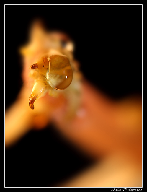 20120211-143934.jpg
