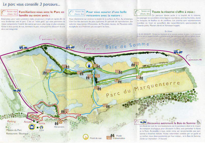 20120221_par_marquenterre_w.jpg