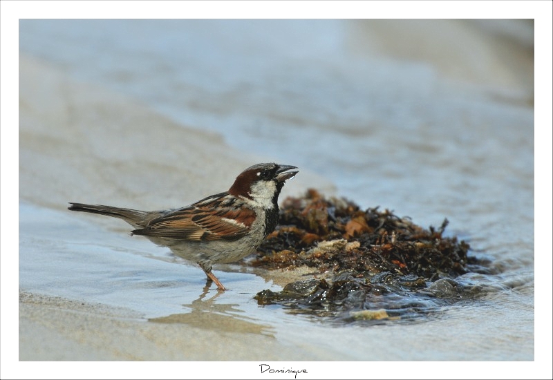 DSC_6105.JPG