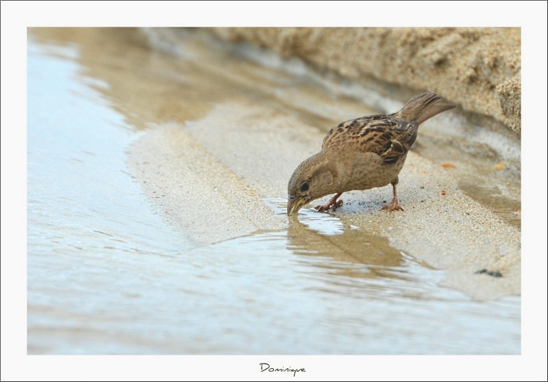 DSC_6119.JPG