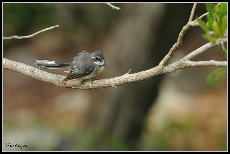 DSC_5672.JPG