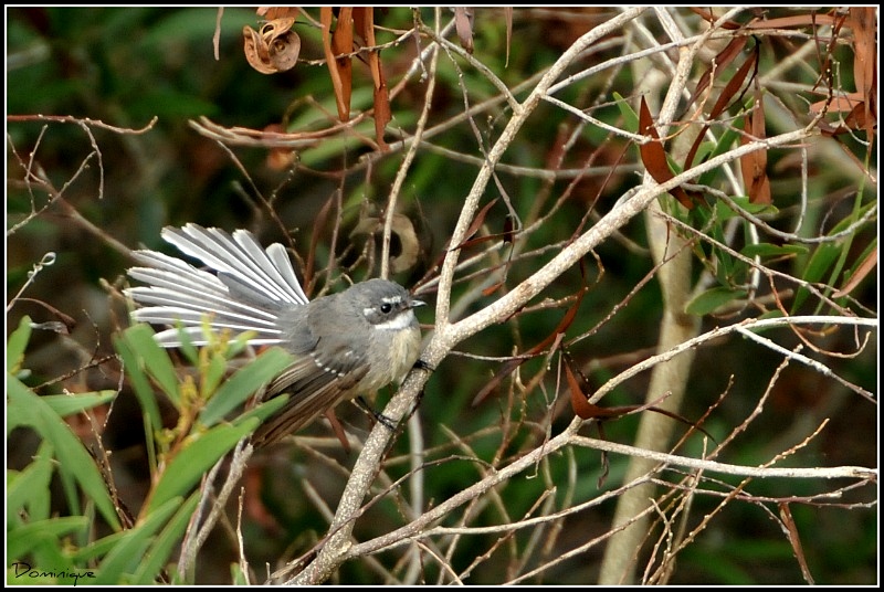 DSC_5676.JPG