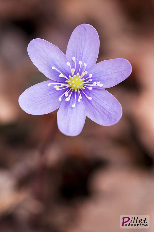 _MG_6859.jpg
