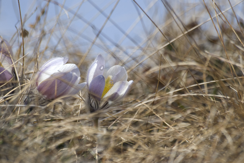 DSC_6480.JPG