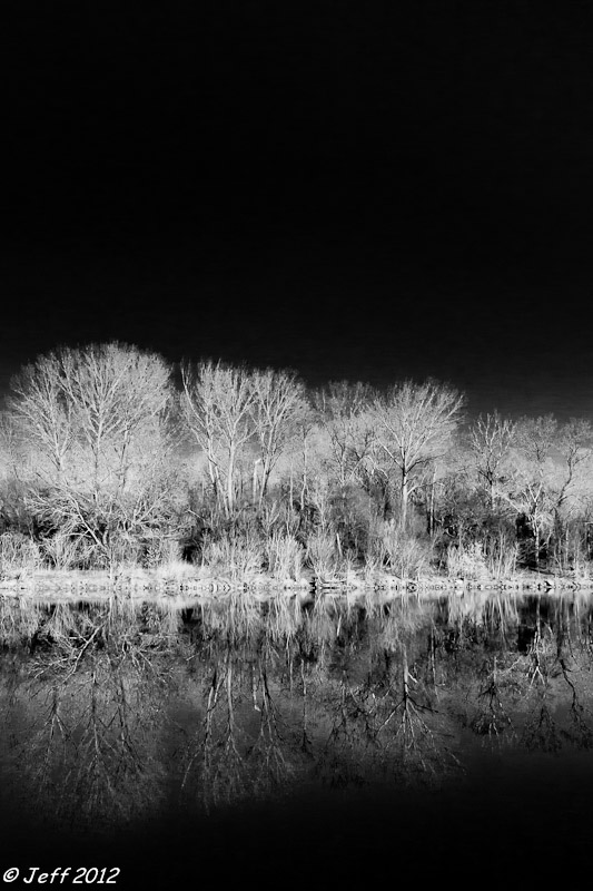 _MG_3247.jpg