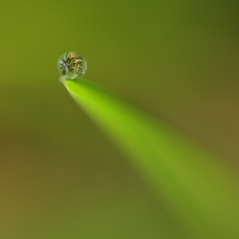 800_DSC0090.jpg