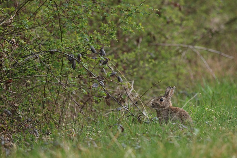 DSC_1668 IN.jpg
