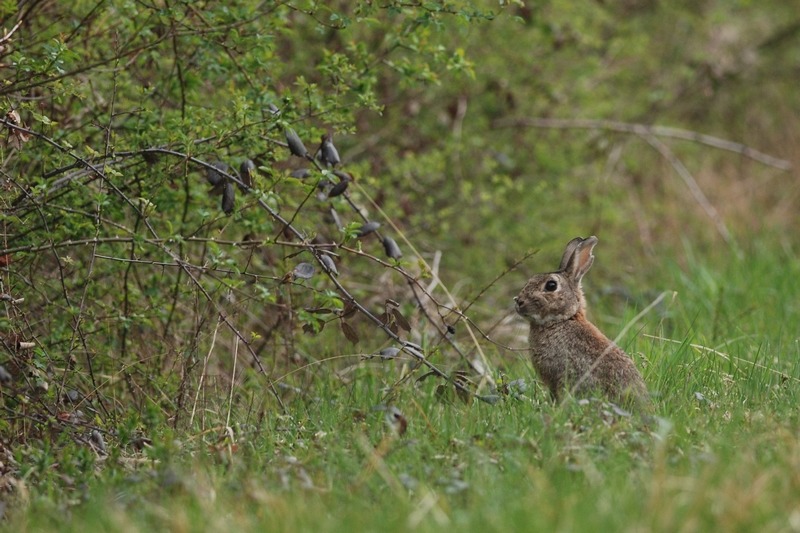DSC_1672 IN.jpg
