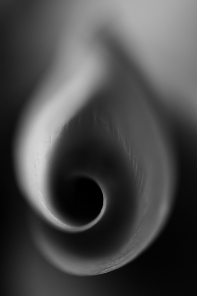 en noir et blanc....jpg