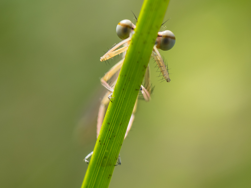 C-IMGP1360.jpg